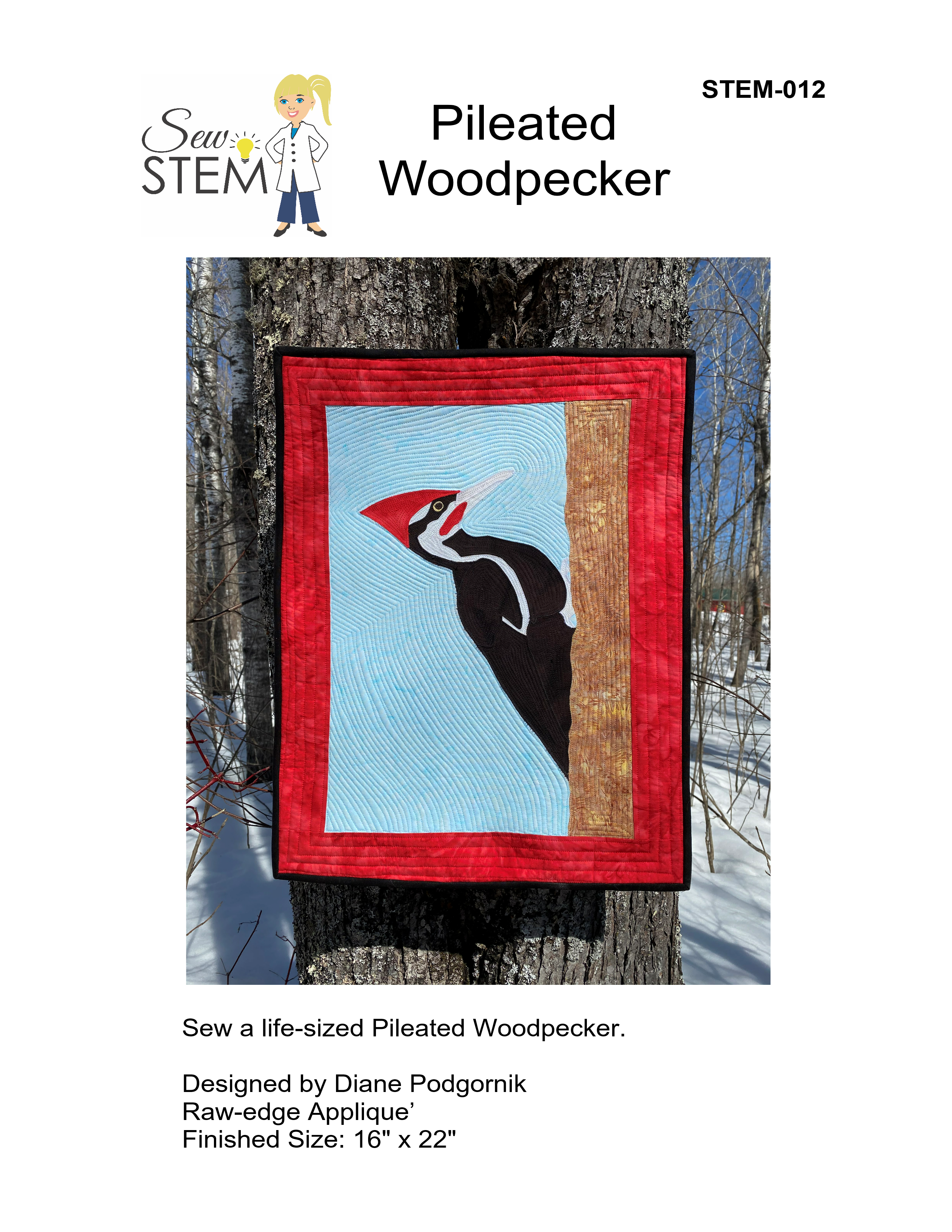 Pileated Woodpecker
STEM-012